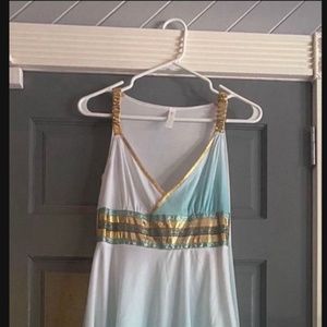 Jasmine adult costume